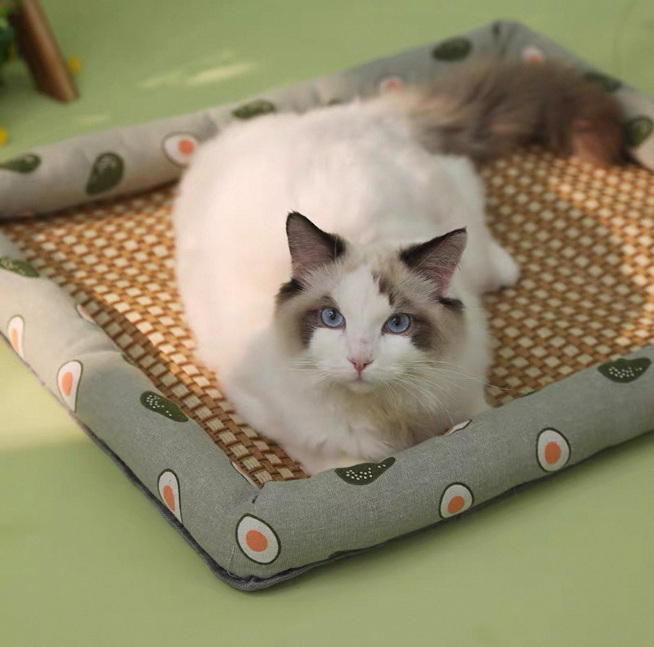 Cama de mimbre para gatos