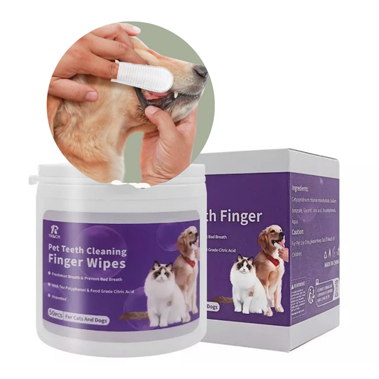 Toallas húmedas para limpieza de dientes (50 pcs)