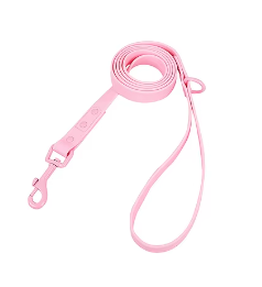 Set correa con collar a prueba de agua