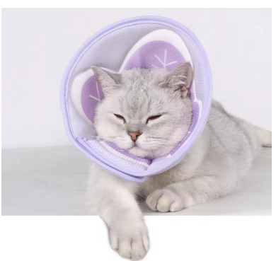Cono isabelino suave para gatos y perros