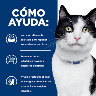 Comida húmeda para gato Hills: Prescription Diet Digestive Care i/d 156 g