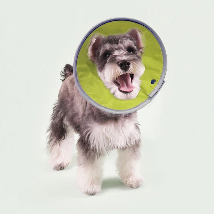 Cono isabelino de tela impermeable para mascotas