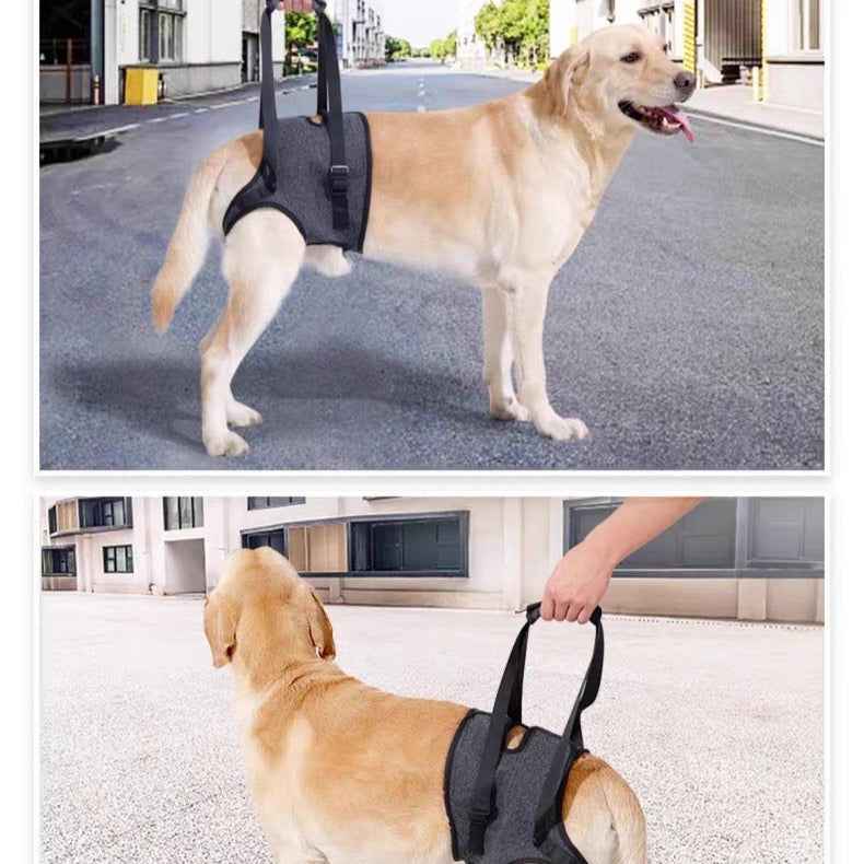 Soporte auxiliar de patas traseras para perros medianos y grandes