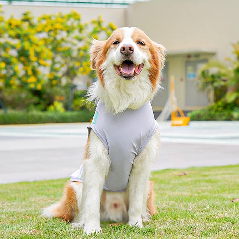 Camisa fresca para mascotas pequeñas, medianas y grandes
