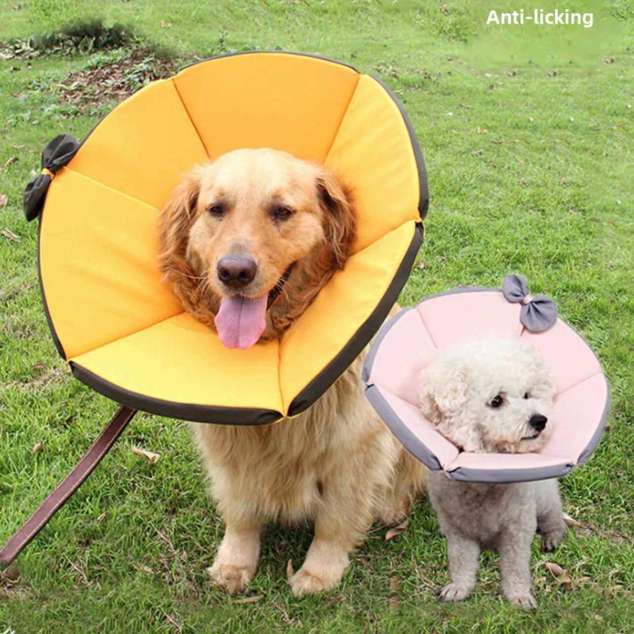 Cono isabelino para perros grandes con lazito de tela