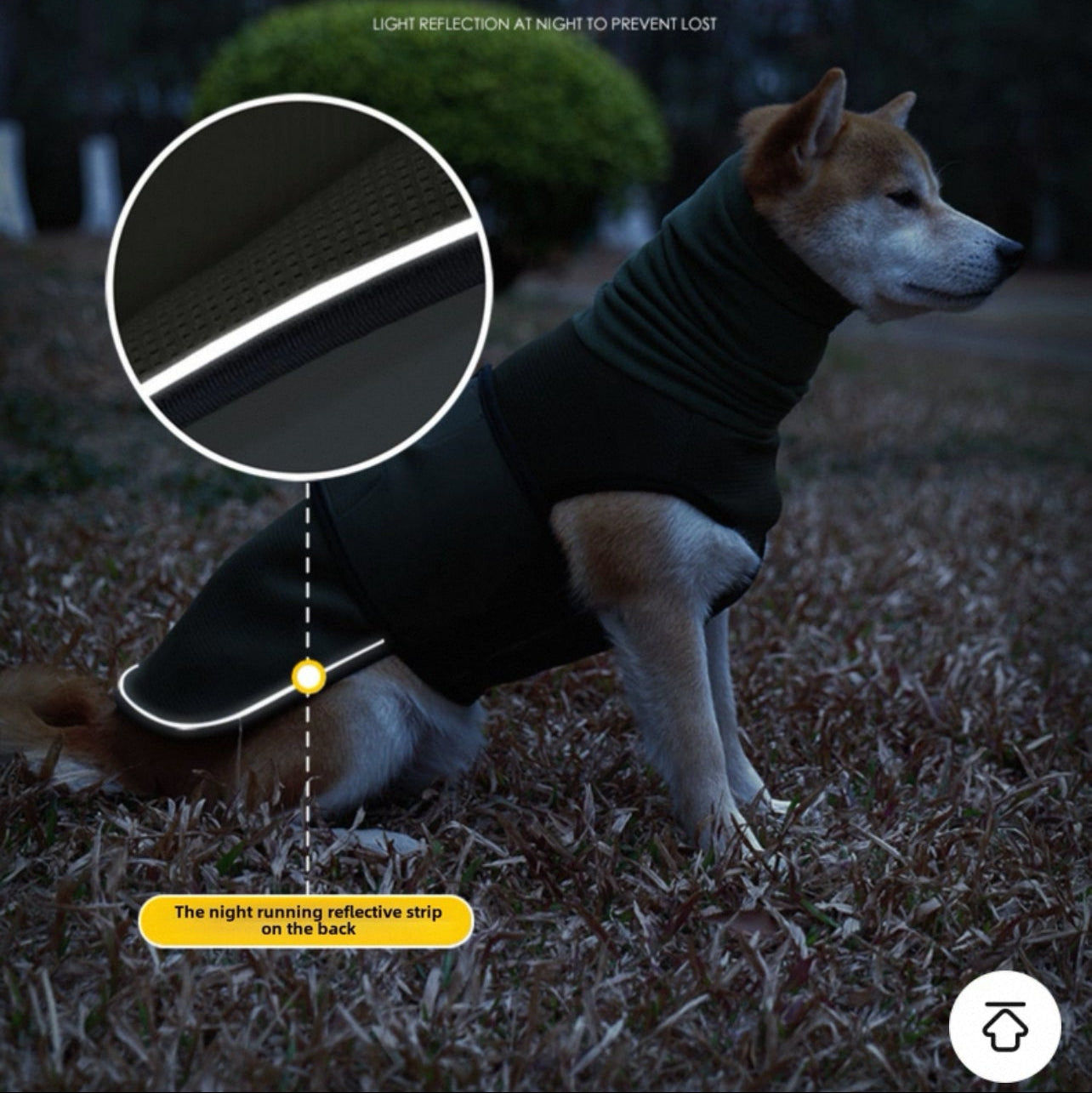 Traje para la ansiedad de perros (Postoperatorio, ansiedad, miedo)