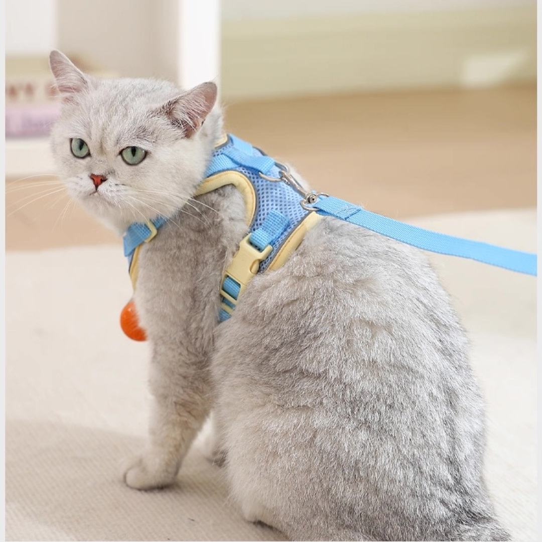 Pechera anti escape reflectiva para gatos