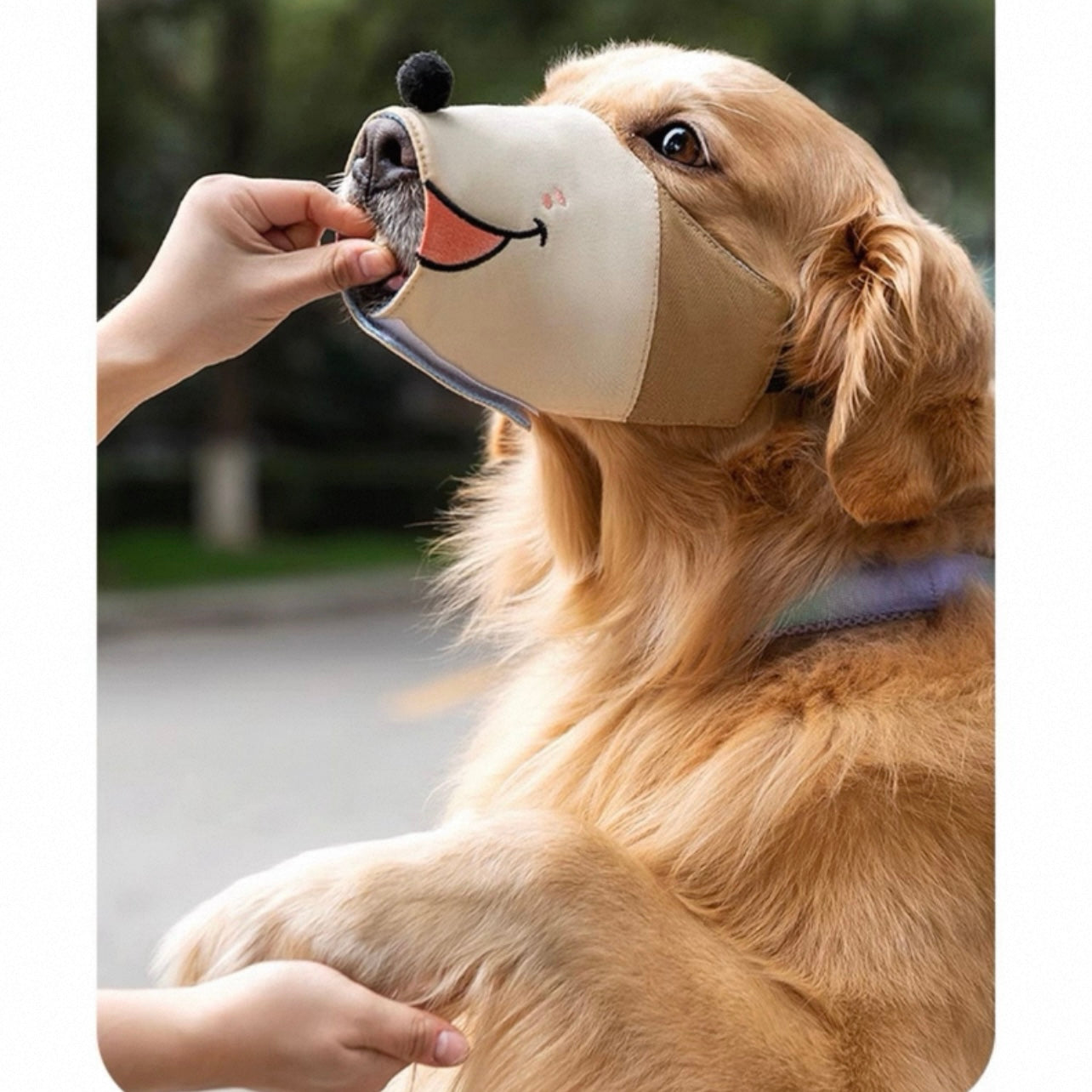 Bozal de tela con diseño para perros