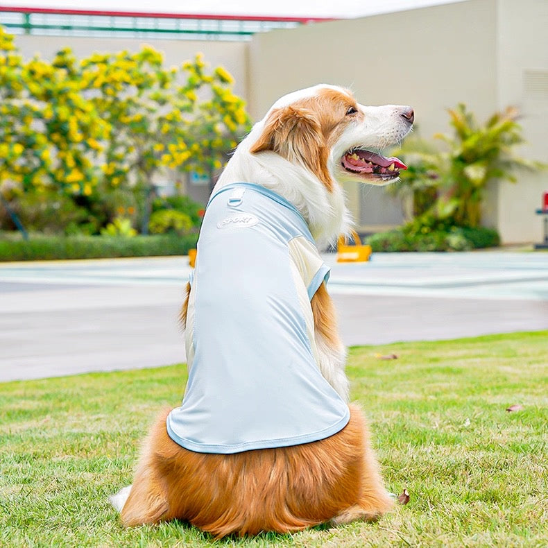 Camisa fresca para mascotas pequeñas, medianas y grandes
