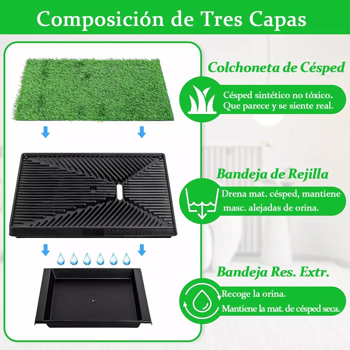 Césped inodoro para perros