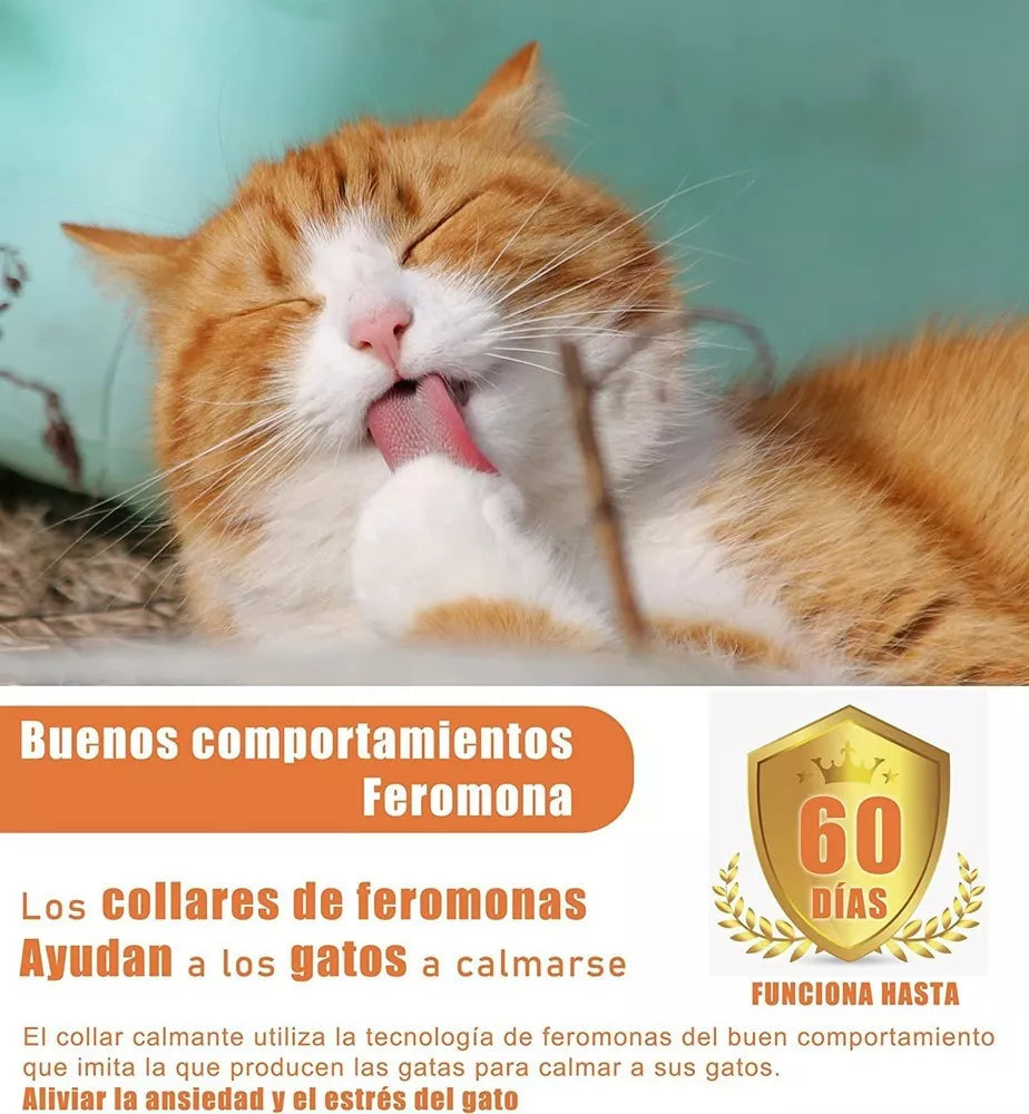 Collar antiestrés para gatos