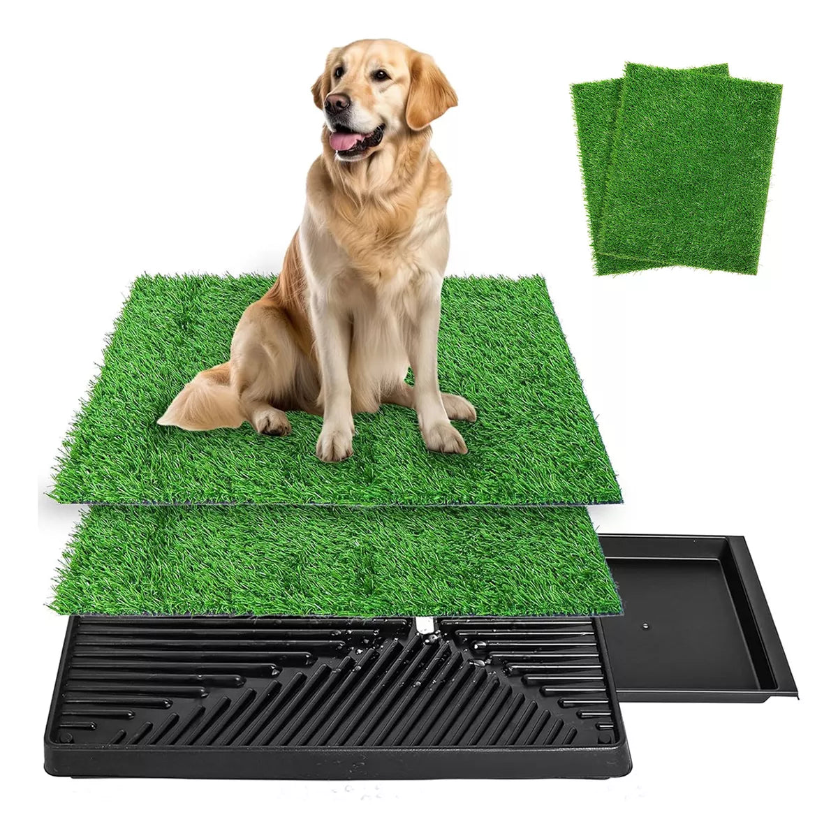 Césped inodoro para perros
