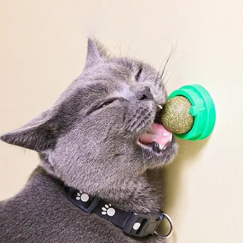 Bola de catnip individual para gatos