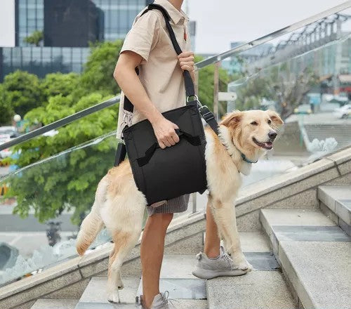 Arnés de transporte para perros