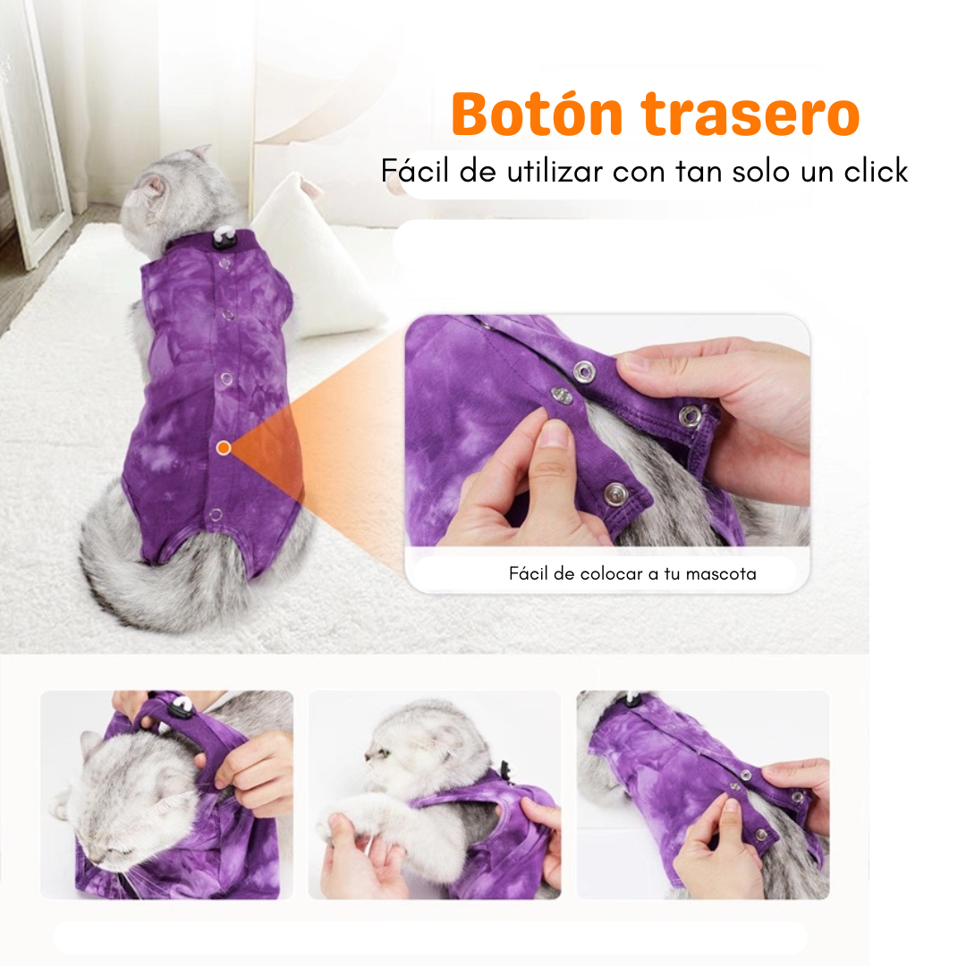 Traje postoperatorio para gatos