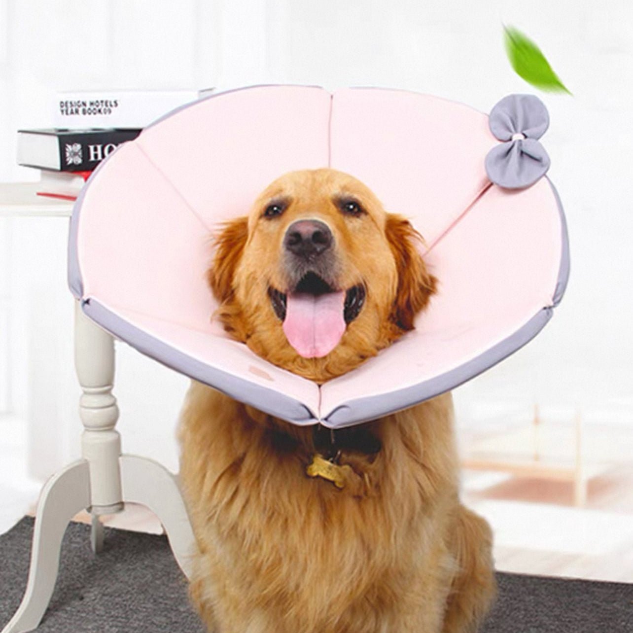 Cono isabelino para perros grandes con lazito de tela