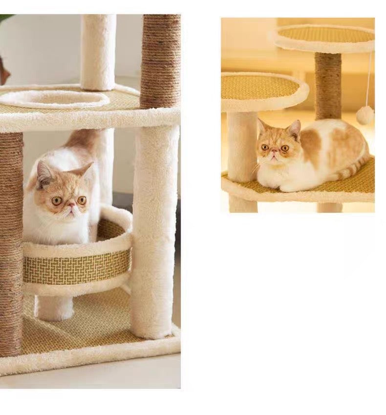 Torre para gatos (Modelo MT25)