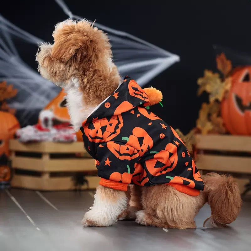 Abrigo calabaza de halloween para mascotas