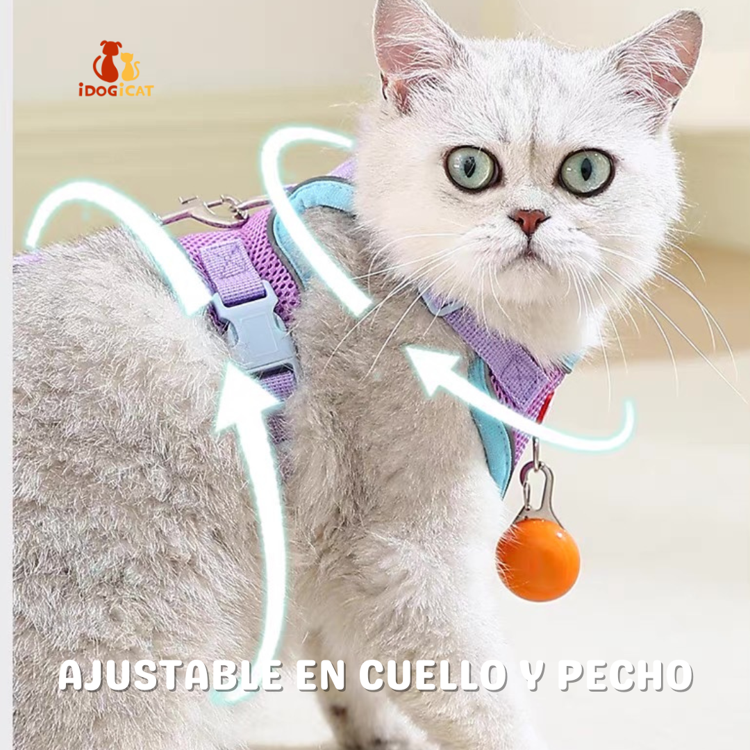 Pechera anti escape reflectiva para gatos