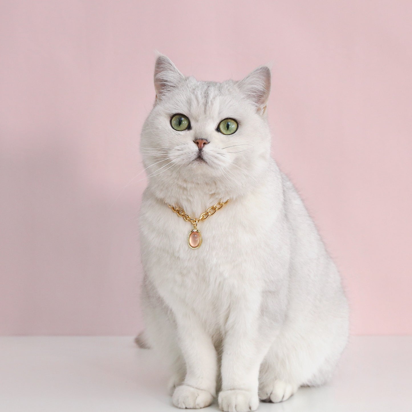 Collar brillante con piedra preciosa para mascotas