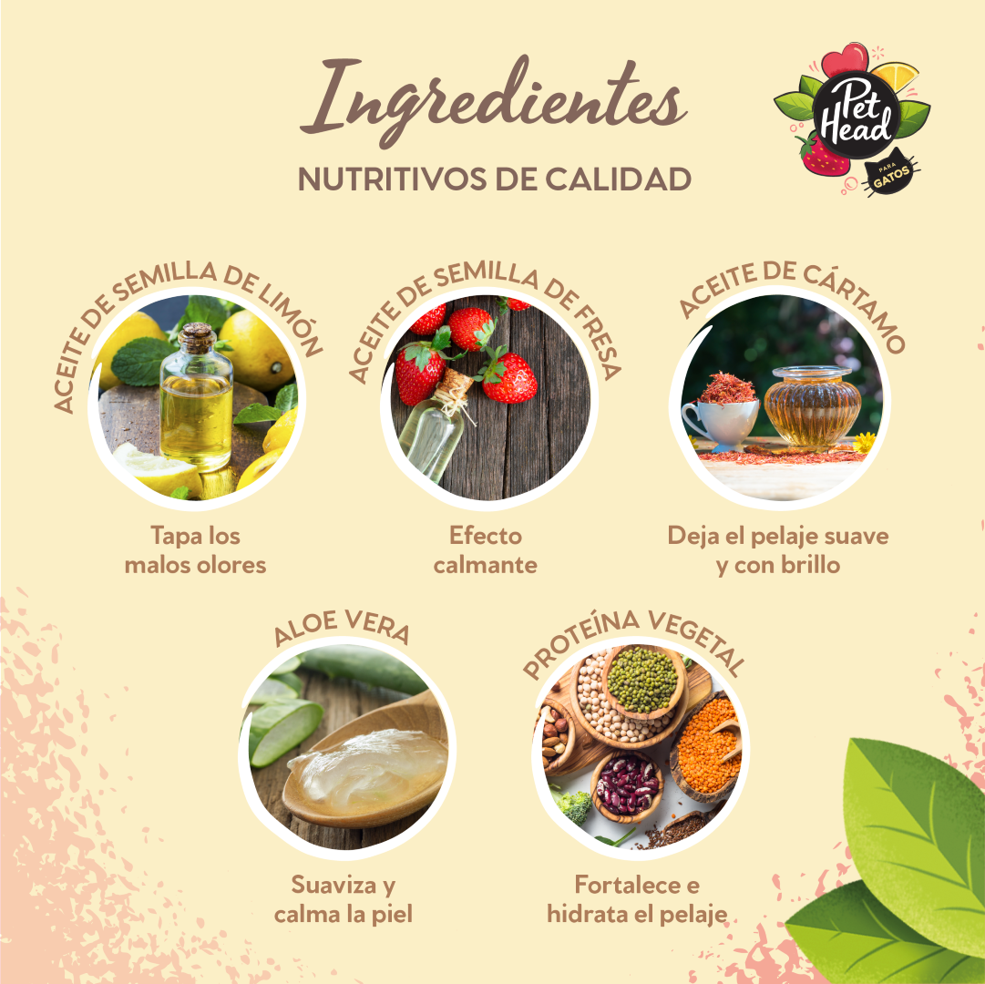 Shampoo en Seco Pet Head: Espuma sin aclarado para gatos Felin' Good 200 ml