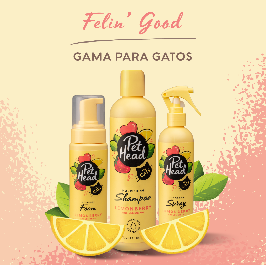 Shampoo en Seco Pet Head: Espuma sin aclarado para gatos Felin' Good 200 ml