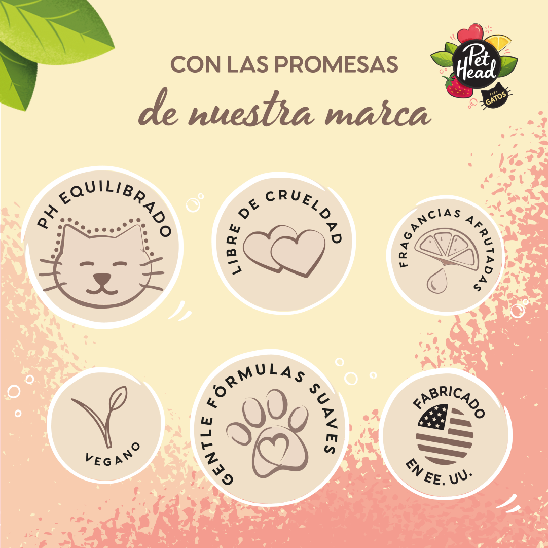 Shampoo en Seco Pet Head: Espuma sin aclarado para gatos Felin' Good 200 ml