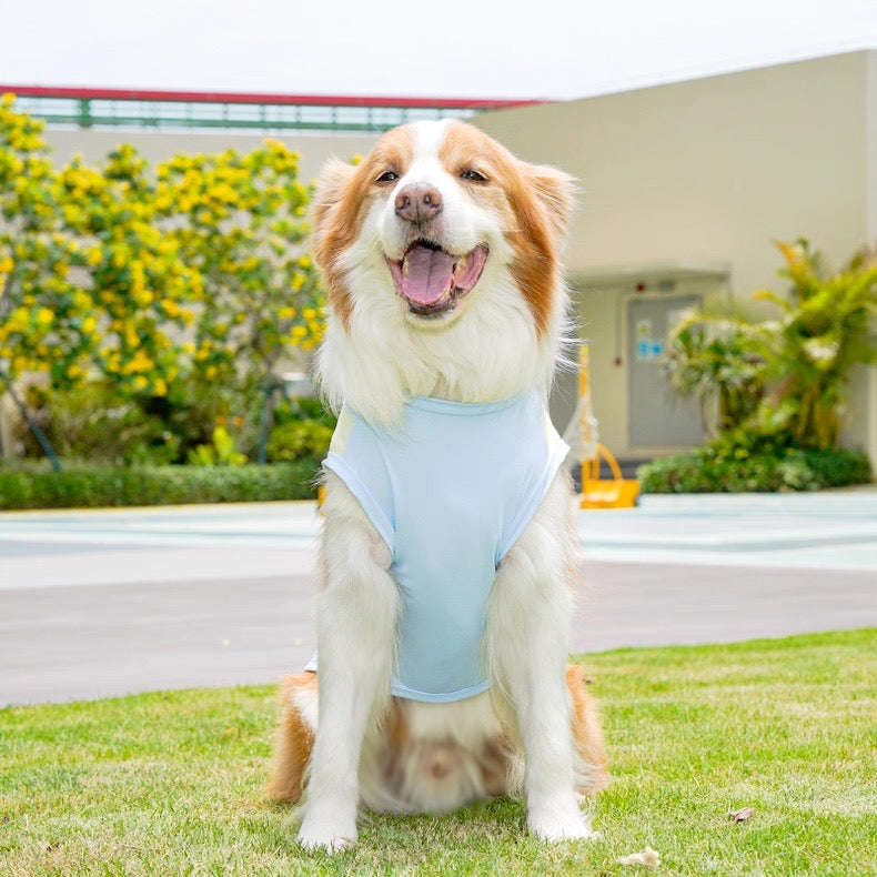 Camisa fresca para mascotas pequeñas, medianas y grandes