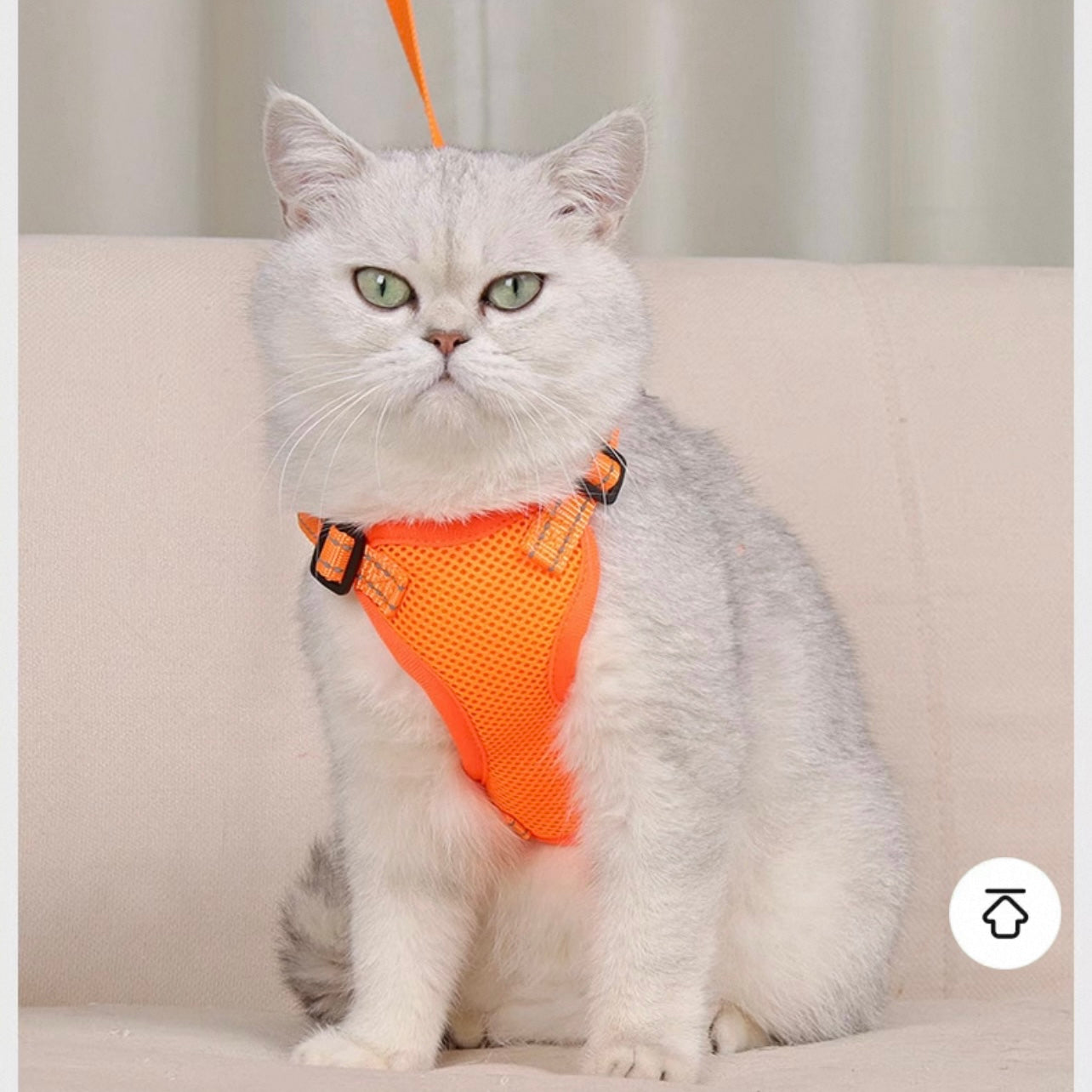 Pechera para gatos y perros raza pequeña