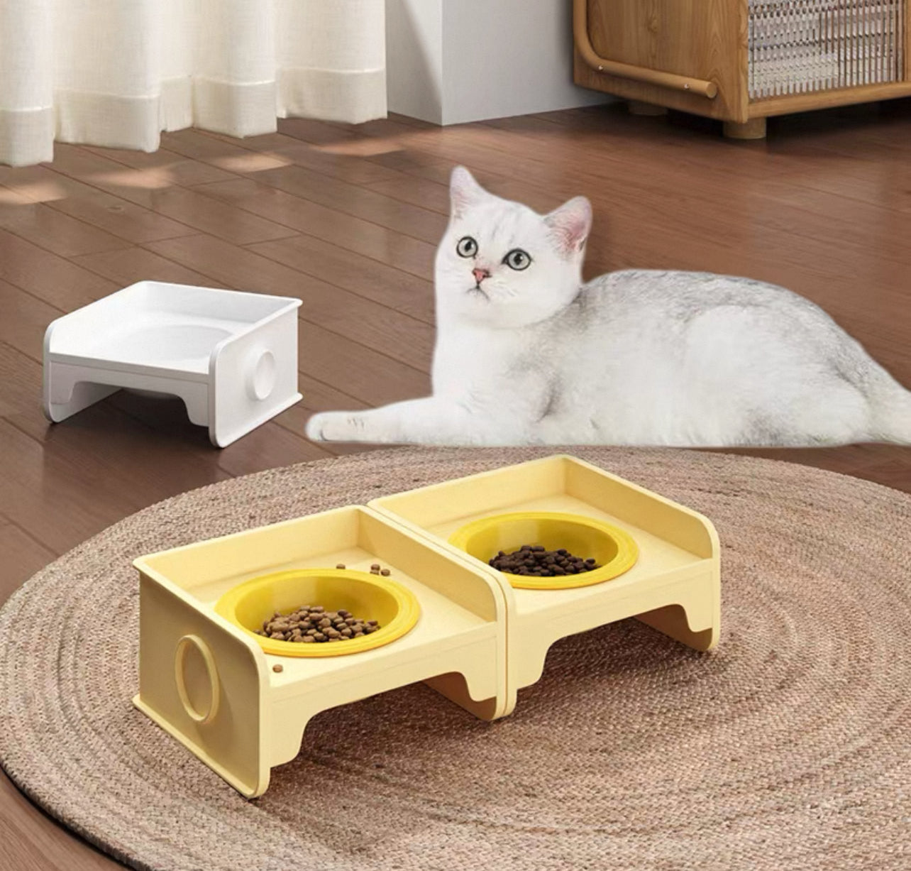 Plato de Ceramica con base desmontable plastica (Variedad de colores)