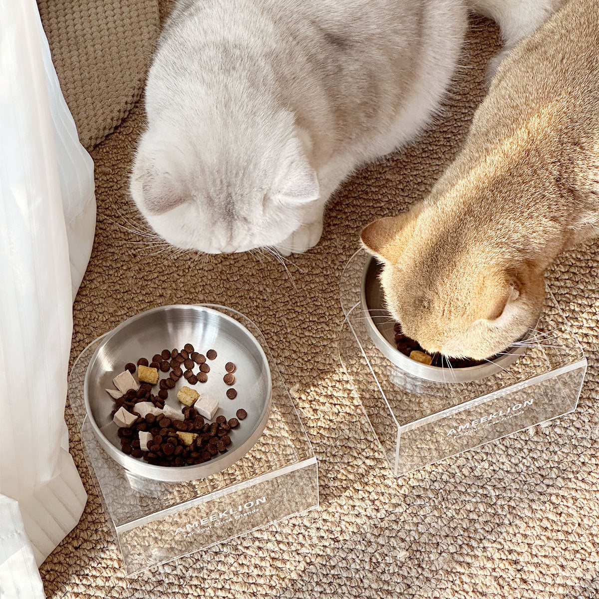 Plato elevado transparente con plato de acero inoxidable