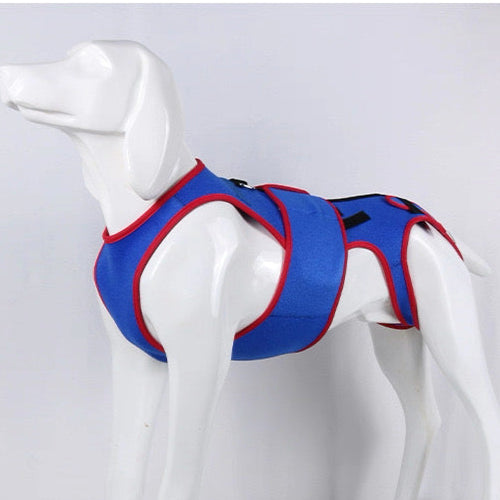 Soporte de apoyo espinal para perros