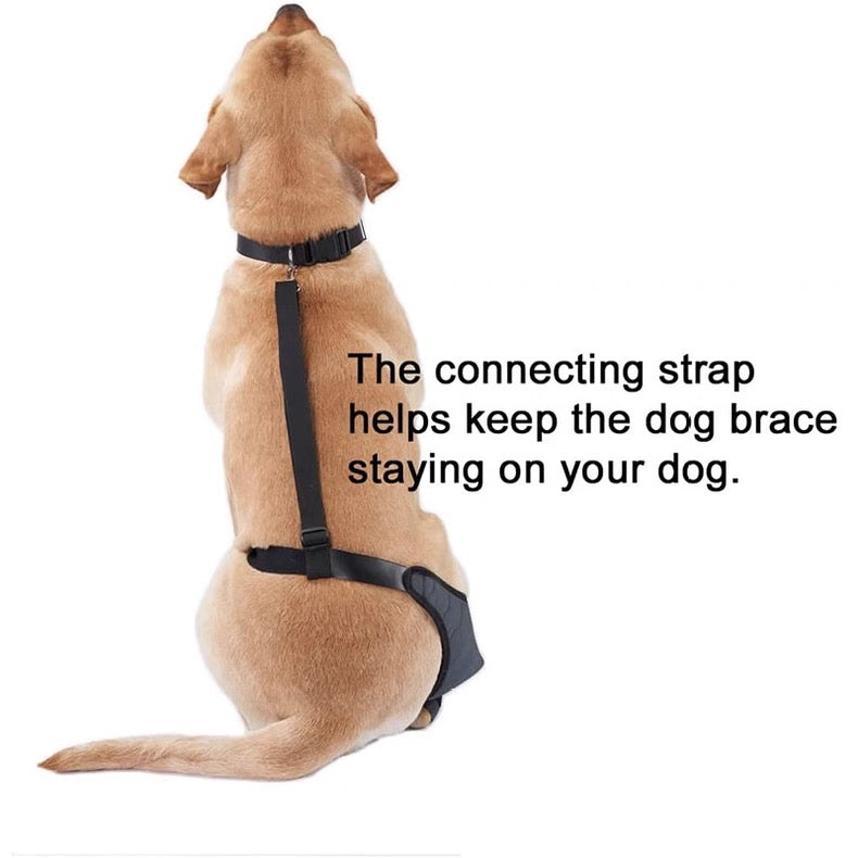 Soporte de pierna trasera para perros