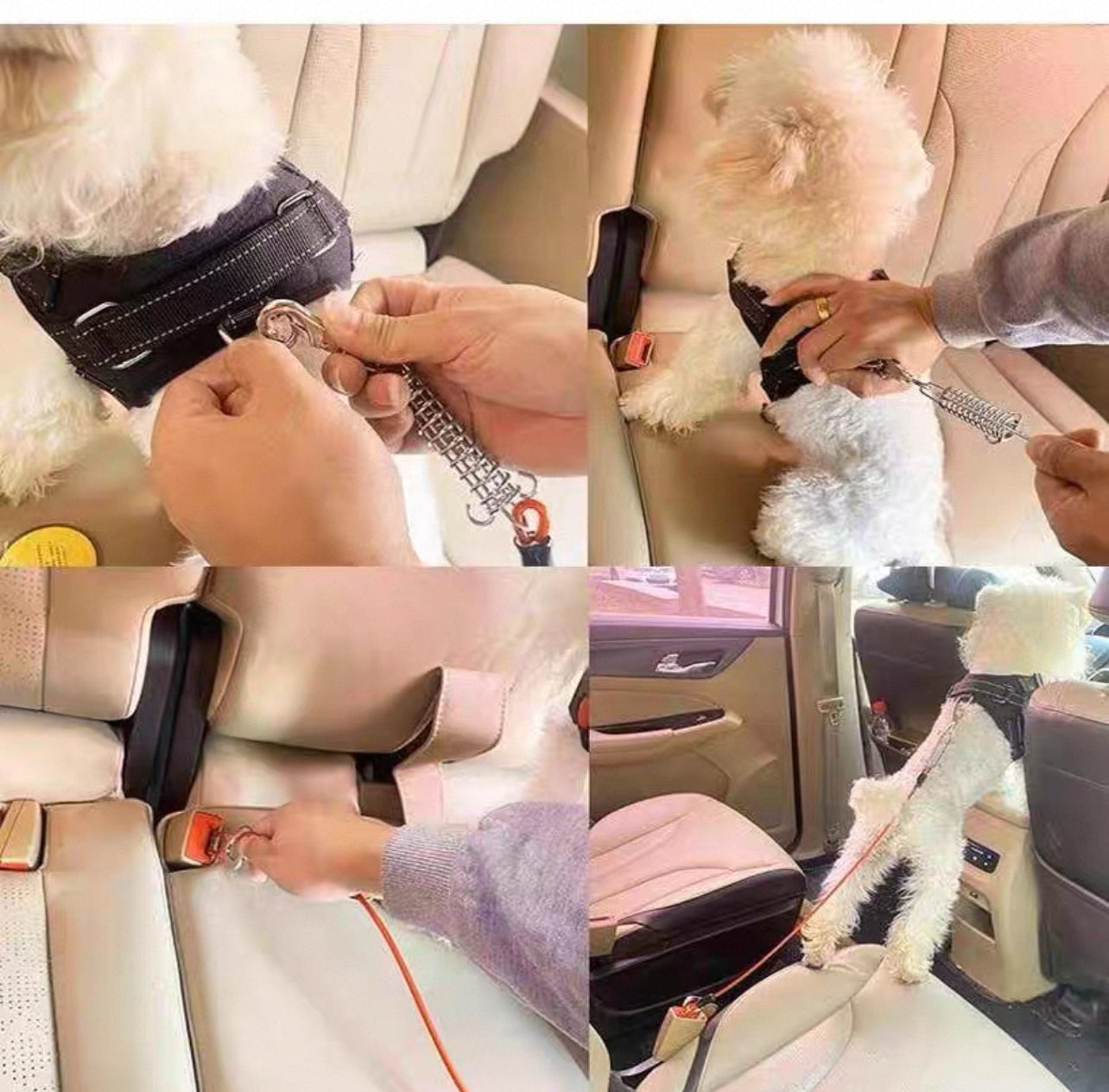 Cinturón de seguridad de acero para mascota resistente