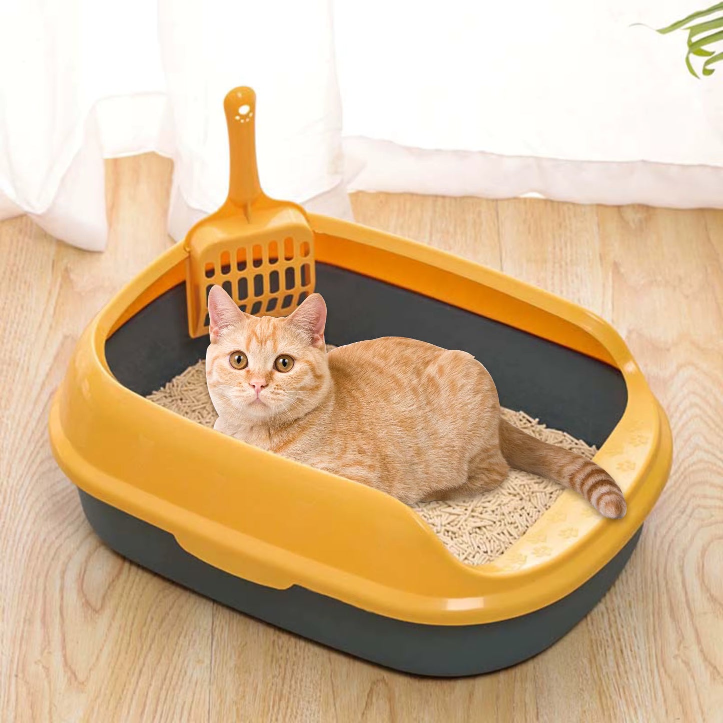 Arenero abierto para gatos bebés sencillo 40*29*13.5cm