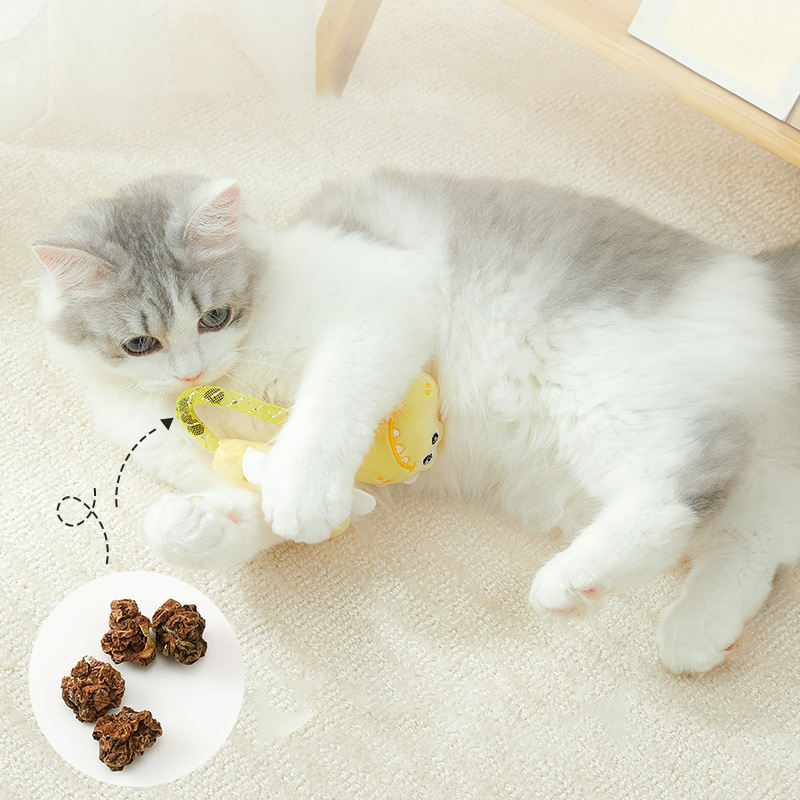 Peluche para gatos con relleno fruta de catnip