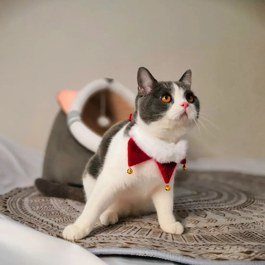 Bandanas navideñas de terciopelo para mascotas (Corona)