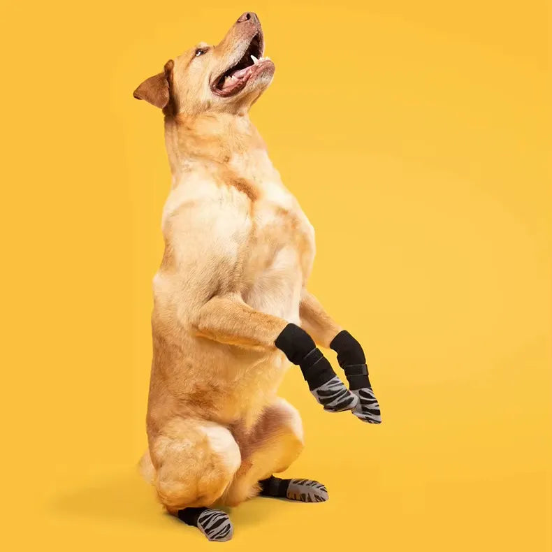 Medias antideslizantes para perros medianos y grandes
