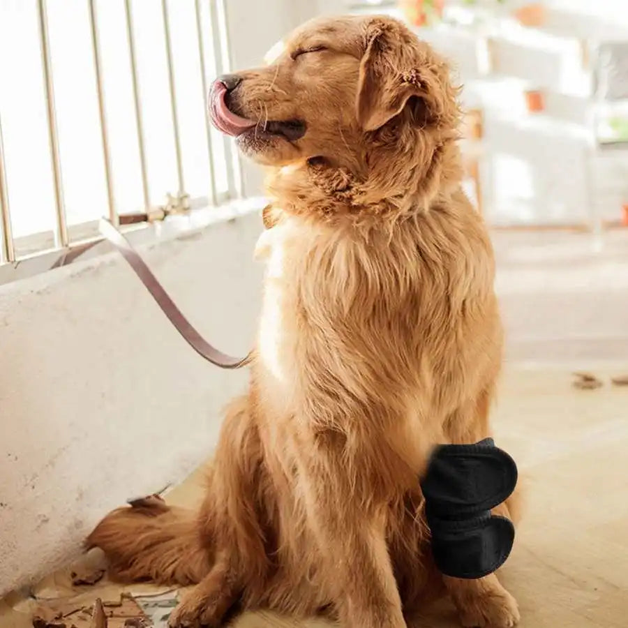 Venda protectora de soporte para mascotas