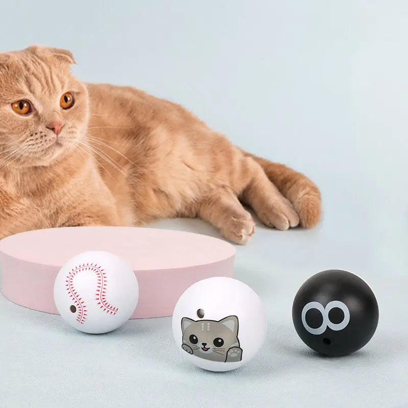 Pelota de juego interactiva para mascotas (modelos variados)