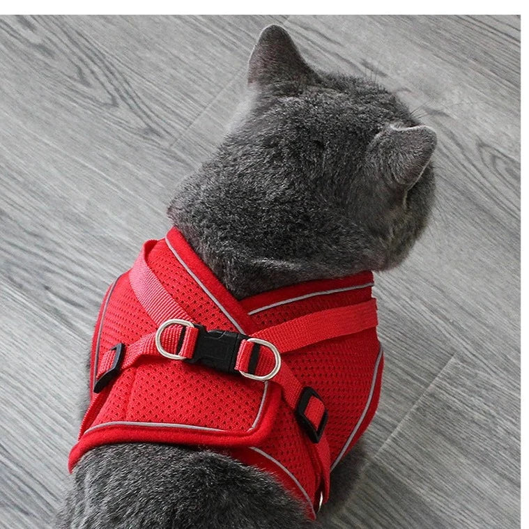 Pechera para gatos reflectante con tela transpirable