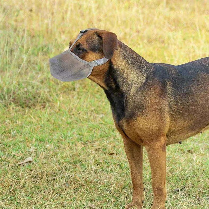Bozal transpirable cerrado para perros
