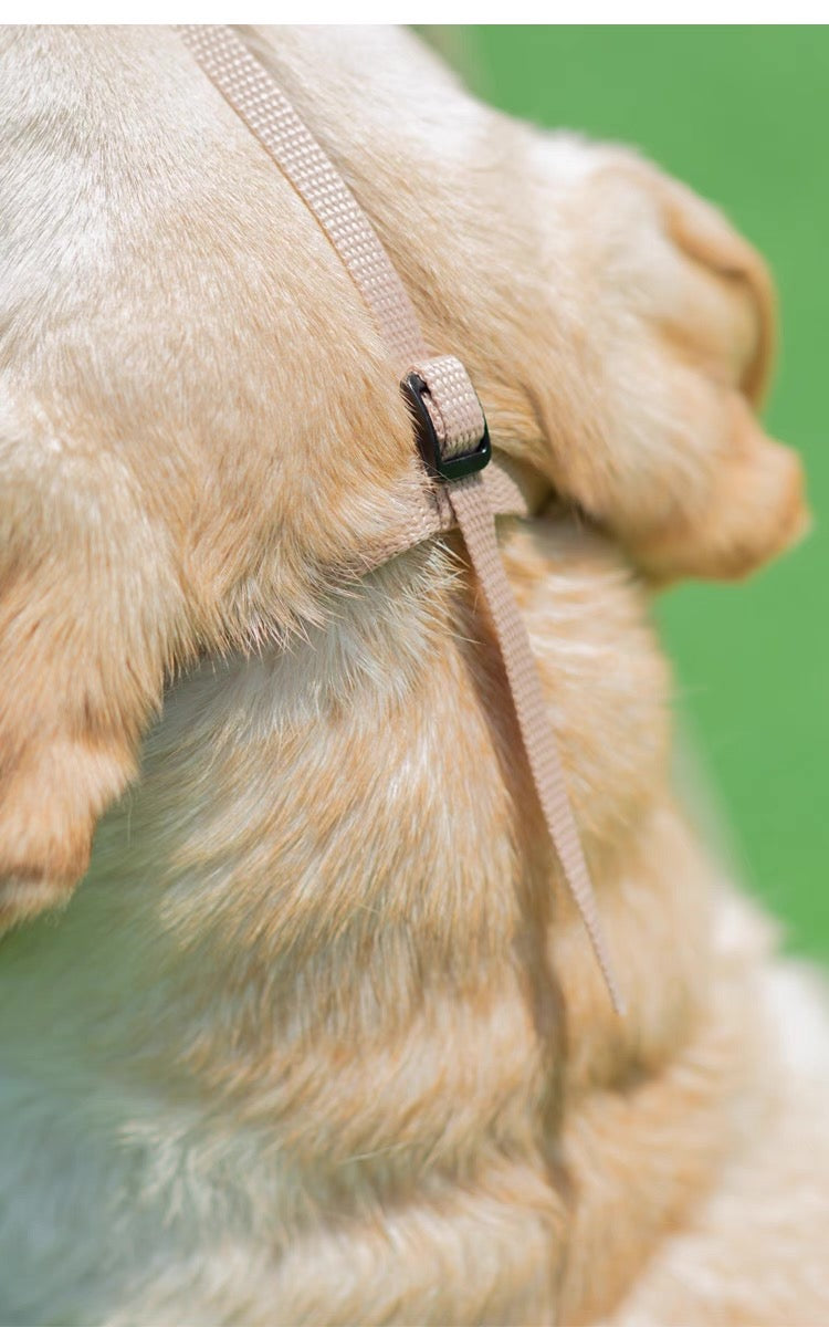 Bozal de plástico para perros pequeños, medianos y grandes