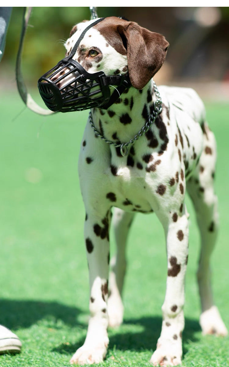Bozal de plástico para perros pequeños, medianos y grandes