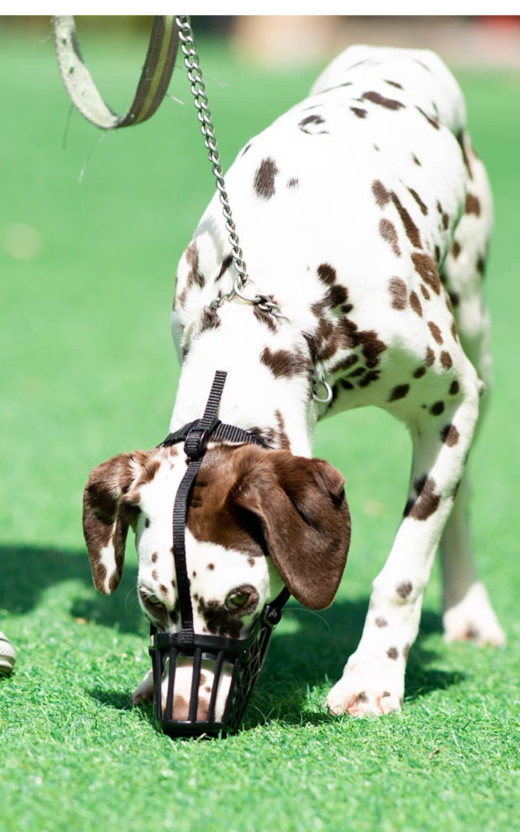 Bozal de plástico para perros pequeños, medianos y grandes