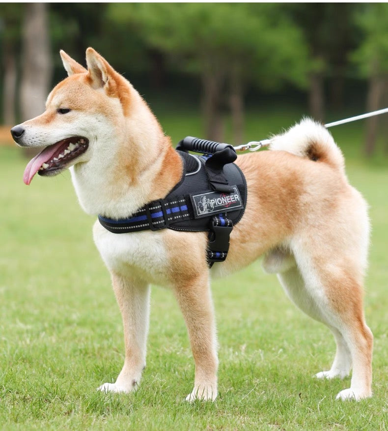 Pechera con correa anti jalones para perros