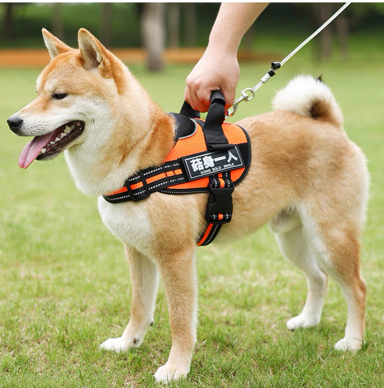 Pechera con correa anti jalones para perros