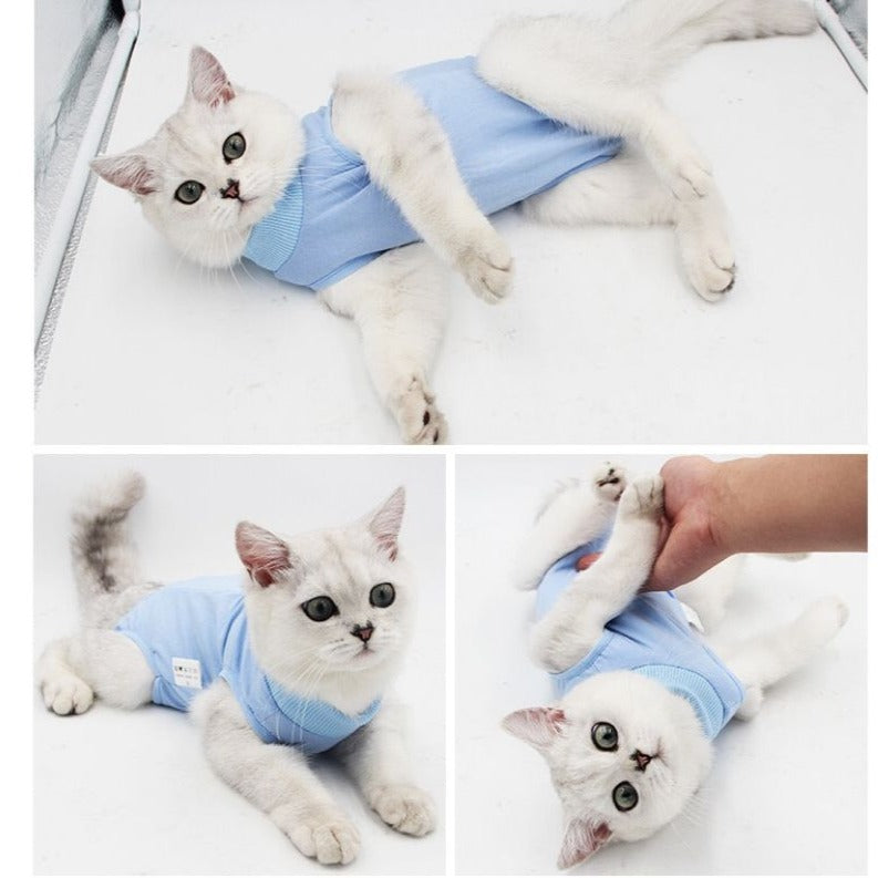 Traje de recuperación de cirugías y heridas para gatos