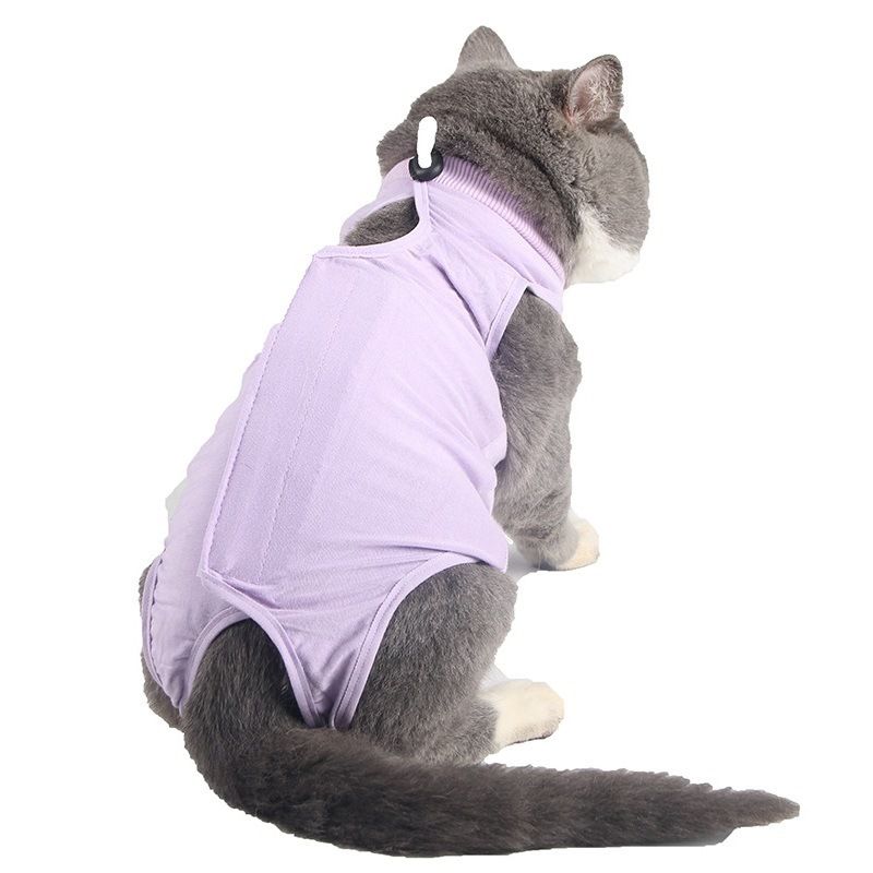 Traje de recuperación de cirugías y heridas para gatos