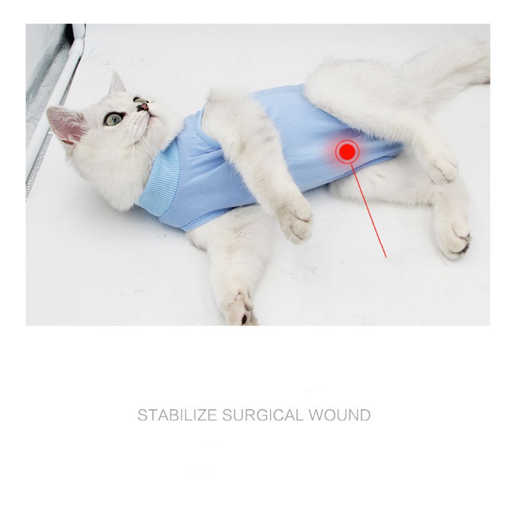 Traje de recuperación de cirugías y heridas para gatos